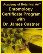 Entomology Certificate