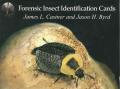 Forensic Insect Cards