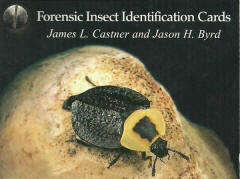 Forensic insect carrds