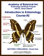 Intro to Entomology